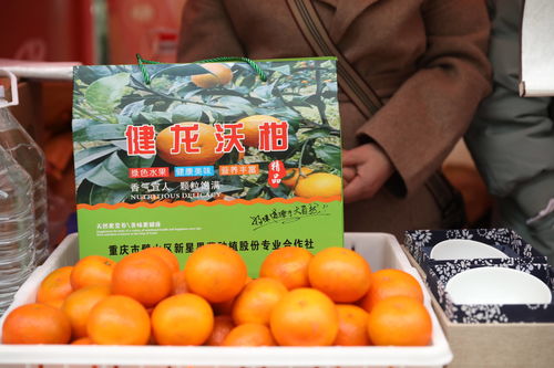 璧味迎春，虎年大吉——2022重庆璧山年货节暨美农达活动持续开展